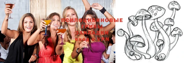 mix Новодвинск