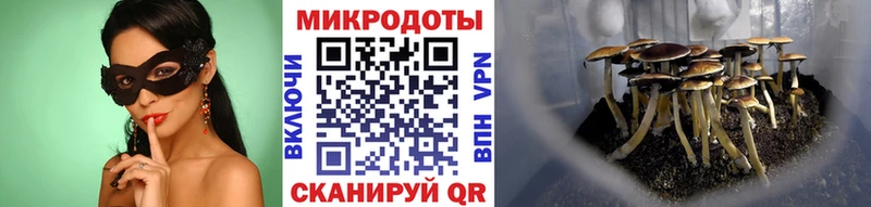 omg ТОР  Кизляр  Псилоцибиновые грибы Psilocybine cubensis 